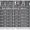 Profesjonalna, aluminiowa, dwustronna drabina z platformą PONTE - tabelka z parametrami